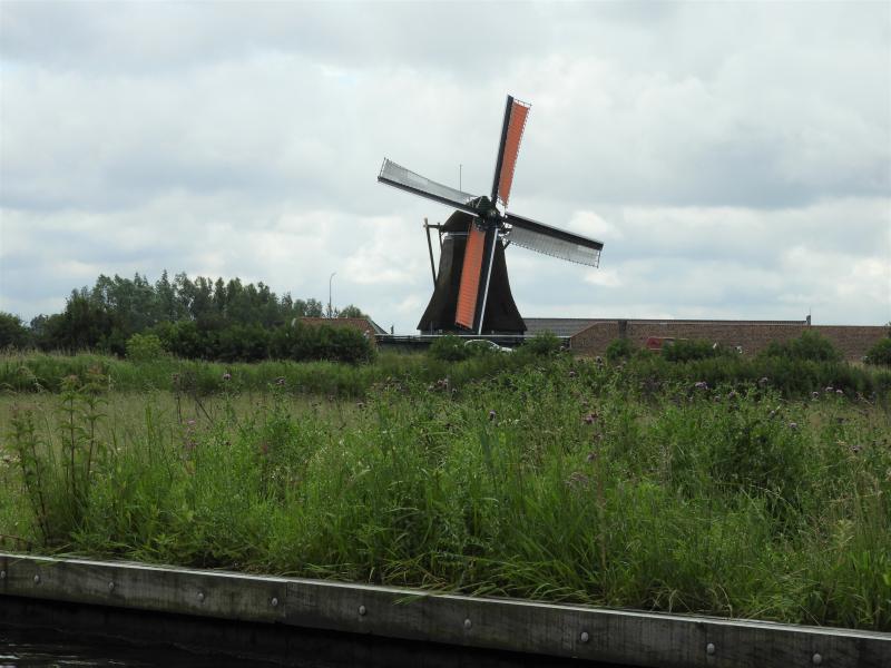 Foto 856470966